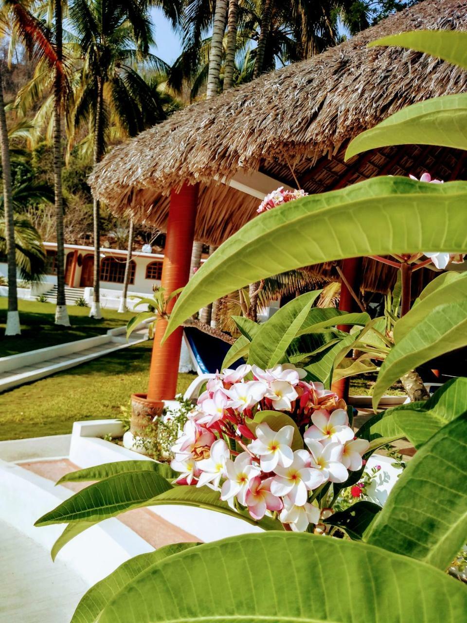 Hotel Y Club Campestre Altos Paraiso Puerto Escondido  Extérieur photo